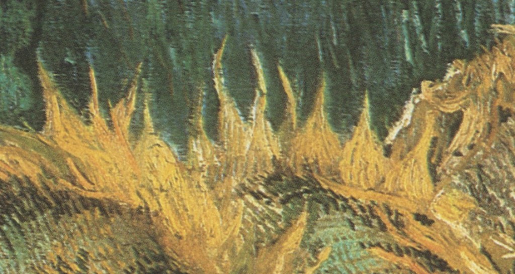 (Vincent Van Gogh, detail of "Four Cut Sunflowers")